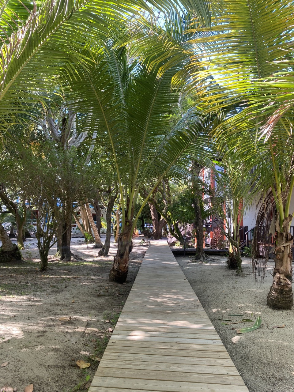 Tranquility Beach Suites Condo 32 1 Bedroom